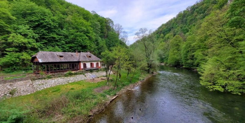 From Oradea: Gorges of Crisul Repede River - Who Should Consider This Tour?