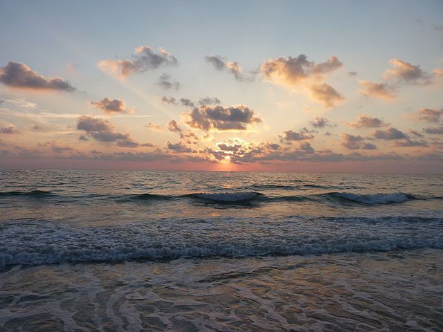 From Orlando: Day Trip to Clearwater With Deep Sea Fishing - Key Points