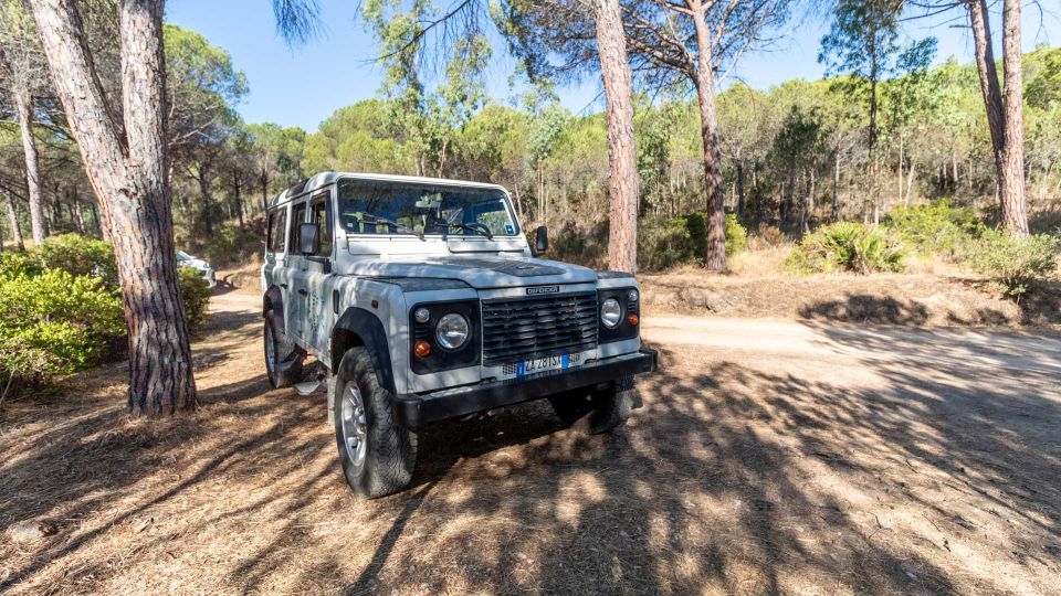 From Orosei: 4x4 Private Tour to Biderosa and Capo Comino - Birdwatching at Sa Curcurica
