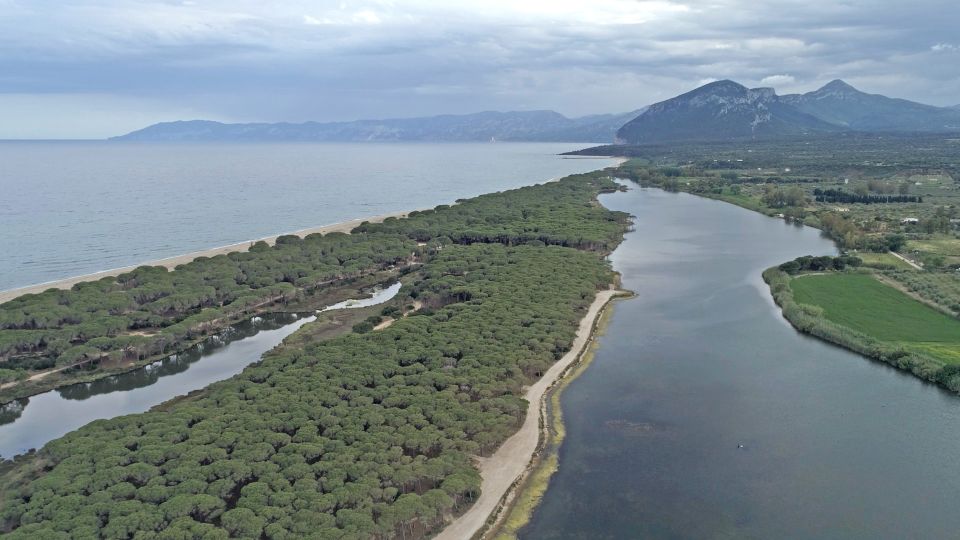 From Orosei: Archaeology, Wine Tasting & Landscapes Tour - Customer Feedback