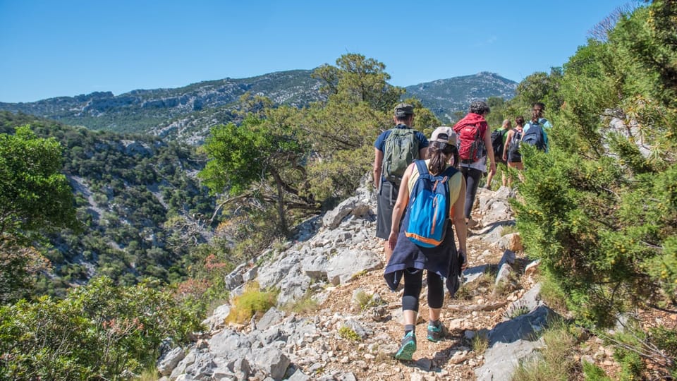 From Orosei/Dorgali: Hike to Cala Luna - Guided Day Trip - Key Points
