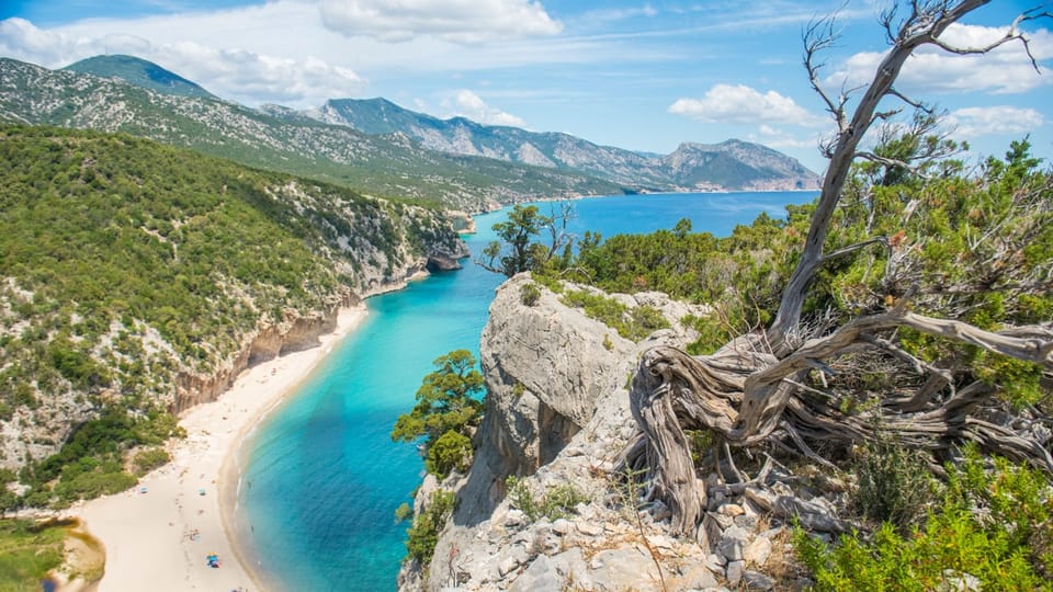 From Orosei/Dorgali: Hike to Cala Luna - Guided Day Trip - Important Information