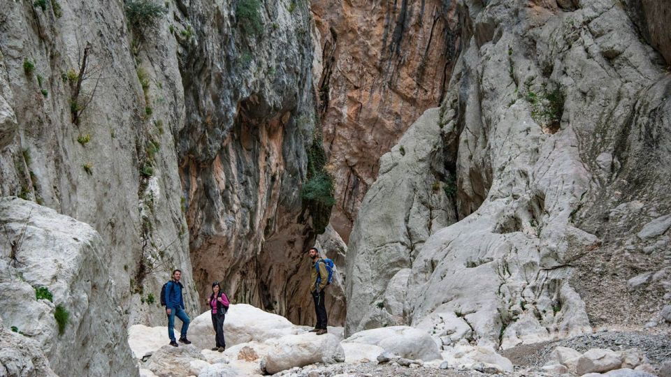 From Orosei or Dorgali: Gorropu Canyon Guided Hiking Tour - Inclusions and Requirements