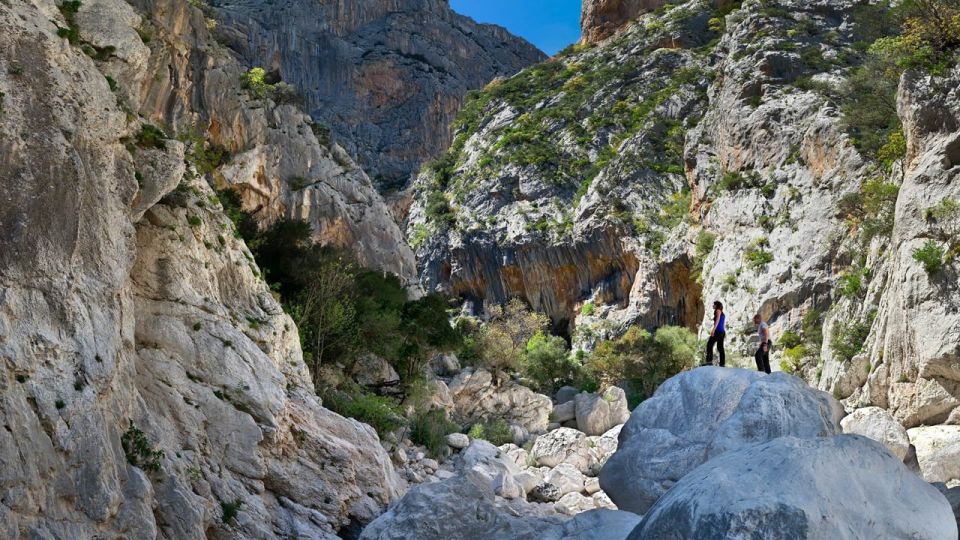 From Orosei or Dorgali: Gorropu Canyon Guided Hiking Tour - Booking Information