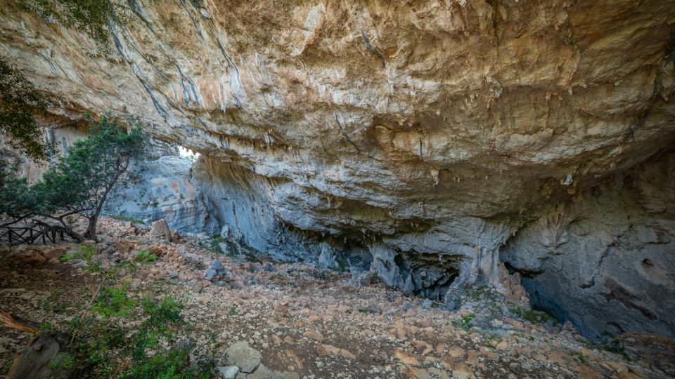 From Orosei or Dorgali: Guided Hiking Day Trip to Tiscali - Tour Inclusions