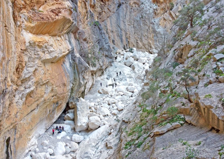From Orosei or Dorgali: Trek to Gorropu With Panoramic Views - Unique Flora and Geological Features