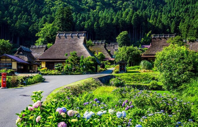 From Osaka: Kyoto Full-Day Guided Tour - Frequently Asked Questions