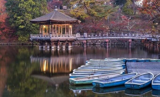 From Osaka: Kyoto Full Day Sightseeing Private Tour - Frequently Asked Questions