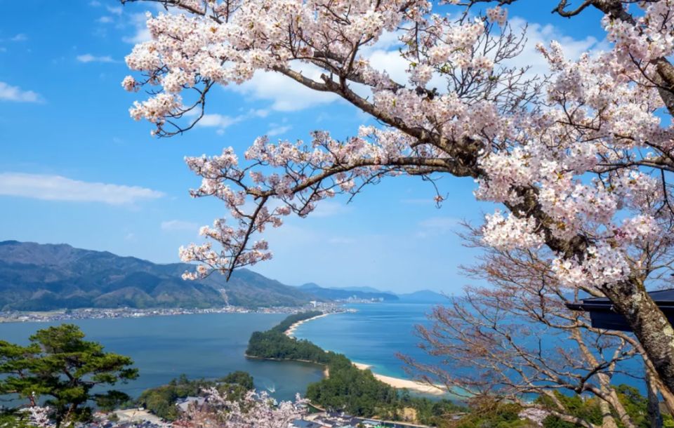 From Osaka: Miyama Village, Ine Bay & Amanohashidate Tour - Key Points