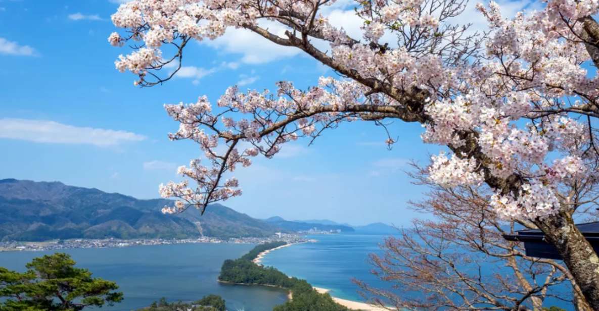 From Osaka: Miyama Village, Ine Bay & Amanohashidate Tour - Ine Bay Boat Cruise