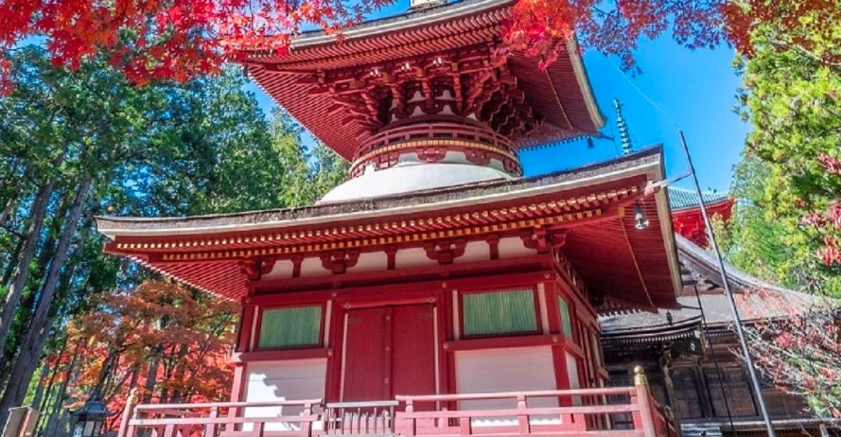 From Osaka: Mt. Koya Private Walking and Train Tour - Highlights of the Tour