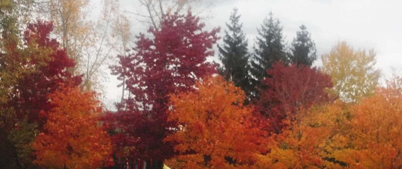 From Ottawa: Gatineau Park Fall Colors Guided Trip - An Overview of the Gatineau Park Fall Colors Guided Trip