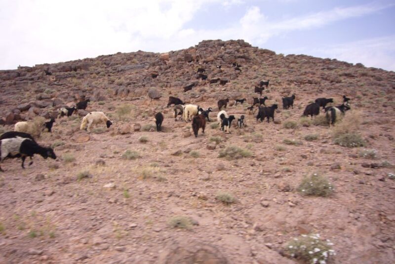From Ouarzazate: 2-Day Erg Lihdoui and Mhamid Desert Tour - Accommodation and Meals