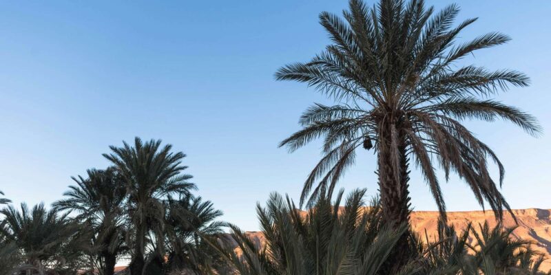 From Ouarzazate: 3 Days Tour Though Merzouga & Dades - Kasbah Ait Ben Haddou