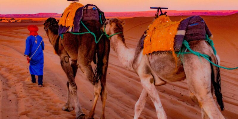 From Ouarzazate: 3 Days Tour Though Merzouga & Dades - Draa Valley and Berber Villages