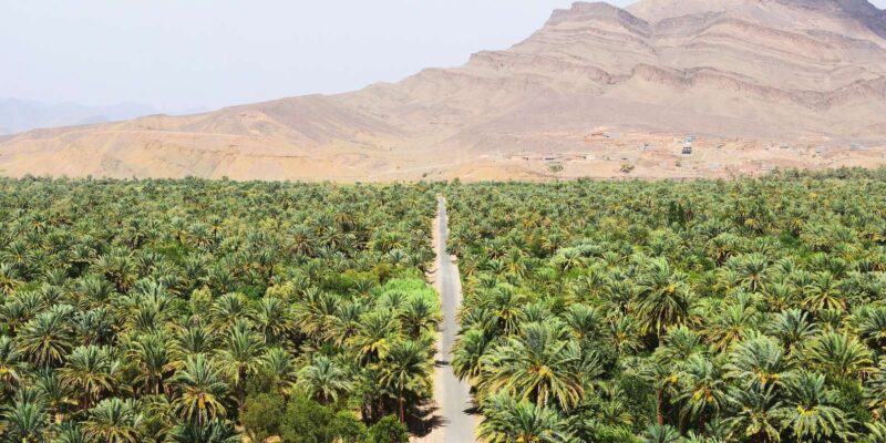 From Ouarzazate: 3 Days Tour Though Merzouga & Dades - Camel Trekking in Erg Chebbi