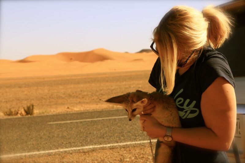 From Ouarzazate: Private 2-Day Merzouga Desert Tour - Inclusions and Pricing