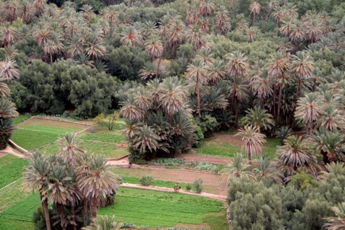 From Ouarzazate: Todra Gorges and 1000 Casbahs Road Day Tour - Frequently Asked Questions