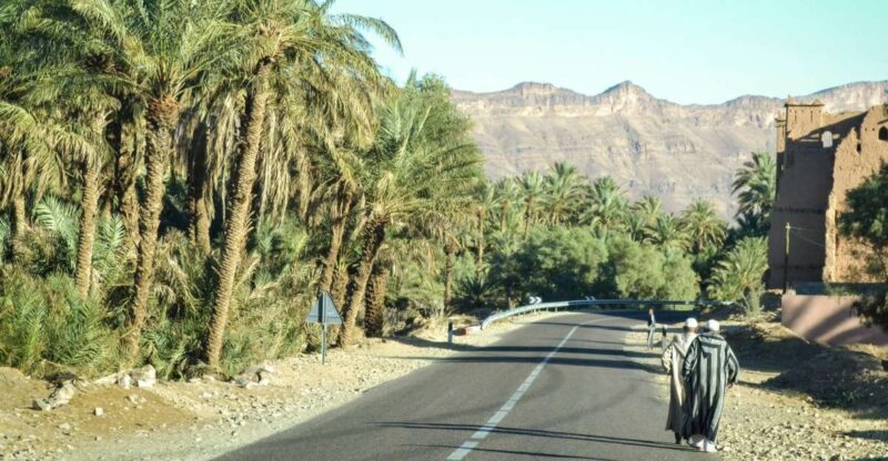 From Ouarzazate: Zagora and Draa Valley Day Tour - Itinerary Highlights