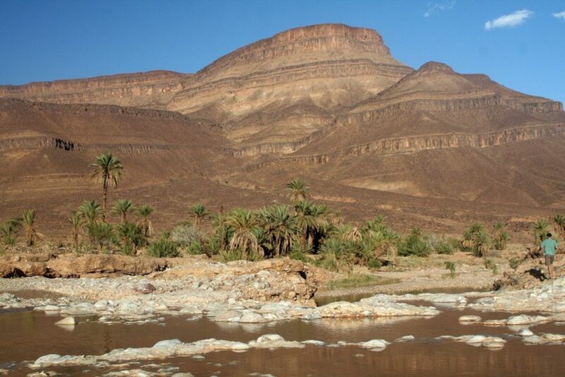 From Ouarzazate: Zagora and Draa Valley Day Tour - Included in the Tour
