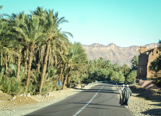 From Ouarzazate: Zagora and Draa Valley Day Tour - Exploring Draa Valley