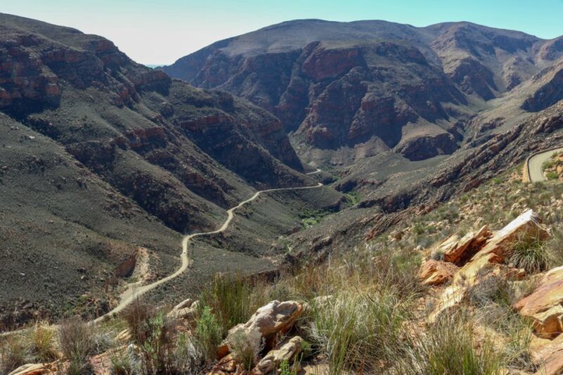 From Oudtshoorn: Full Day Swartberg Mountain Private Tour - Natural Features and Wildlife