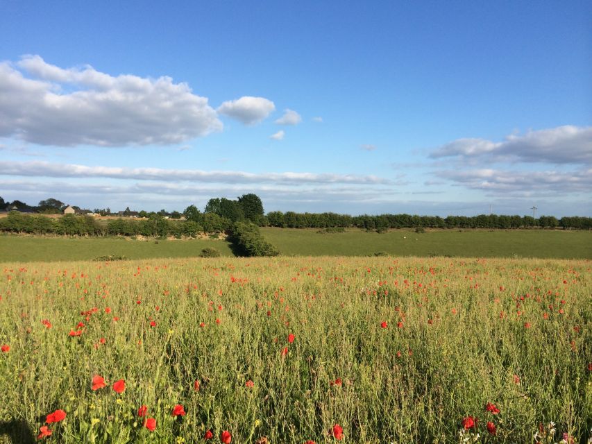 From Oxford: Cotswolds Towns and Villages Small Group Tour - Historical Sites to Visit