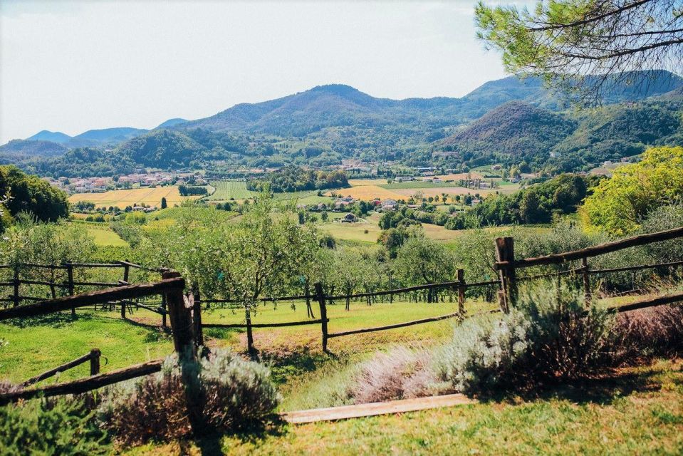 From Padua: Euganean Hills Guided Wine Tour With Tasting - Frequently Asked Questions