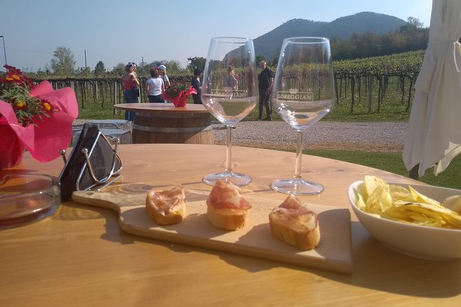 From Padua: Olive Oil & Wine in the Euganean Hills - Explore Olive Oil Production