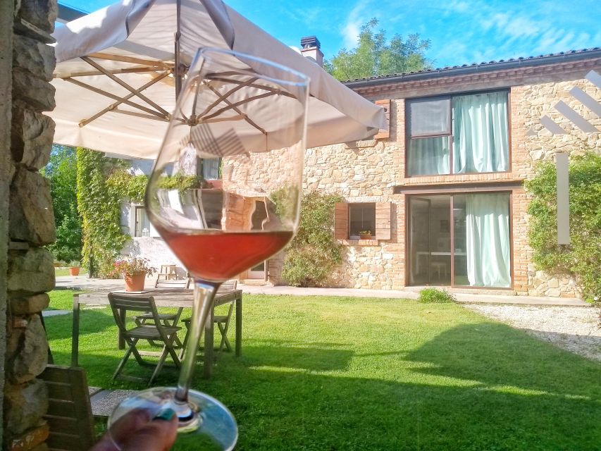 From Padua: Olive Oil & Wine in the Euganean Hills - Winery Visit