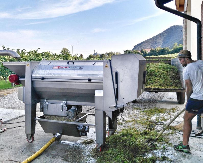 From Padua: Olive Oil & Wine in the Euganean Hills - Tasting Olive Oil