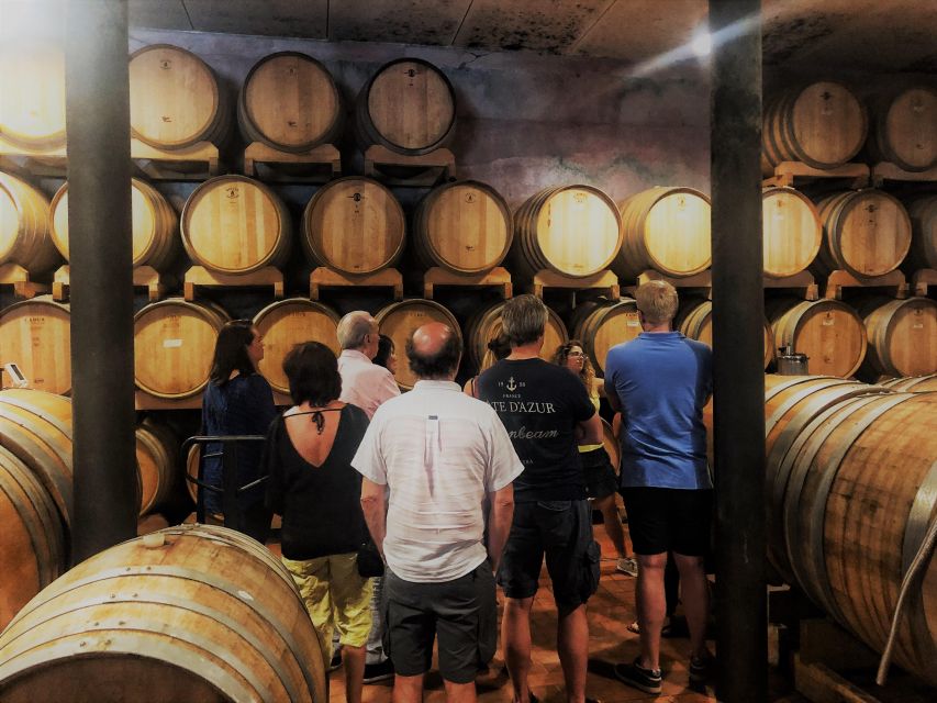 From Padua: Olive Oil & Wine in the Euganean Hills - Exploring the Vineyards