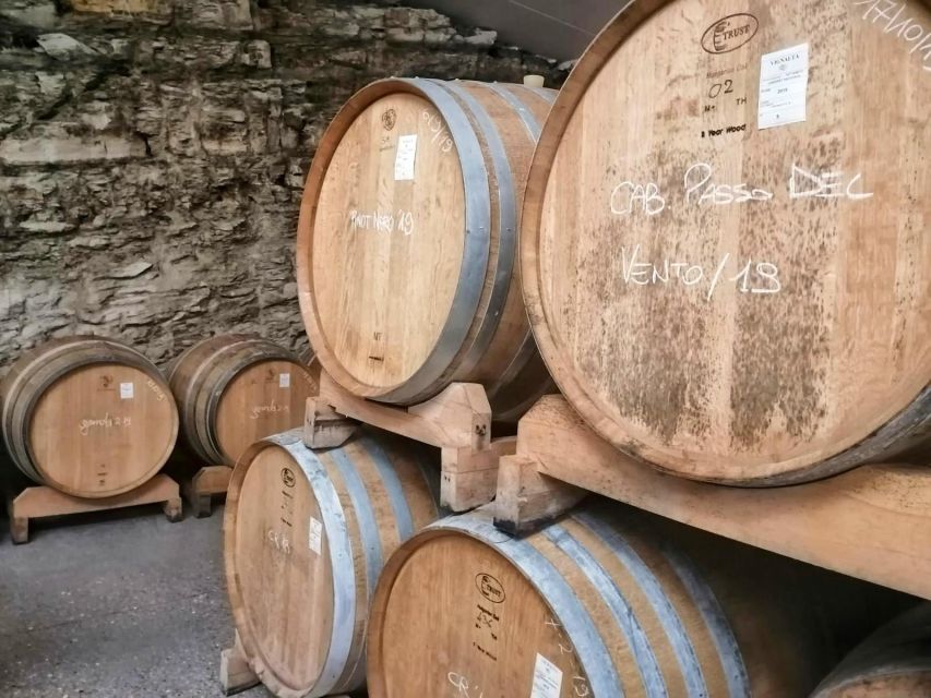 From Padua: Olive Oil & Wine in the Euganean Hills - Inclusions and Exclusions