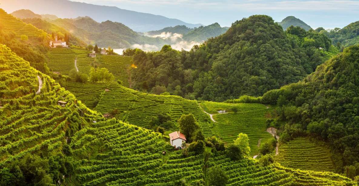 From Padua: Panoramic Prosecco Tasting Tour - Valdobbiadene and Prosecco DOCG Region