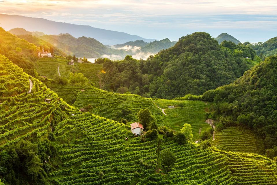 From Padua: Panoramic Prosecco Tasting Tour - Exclusions