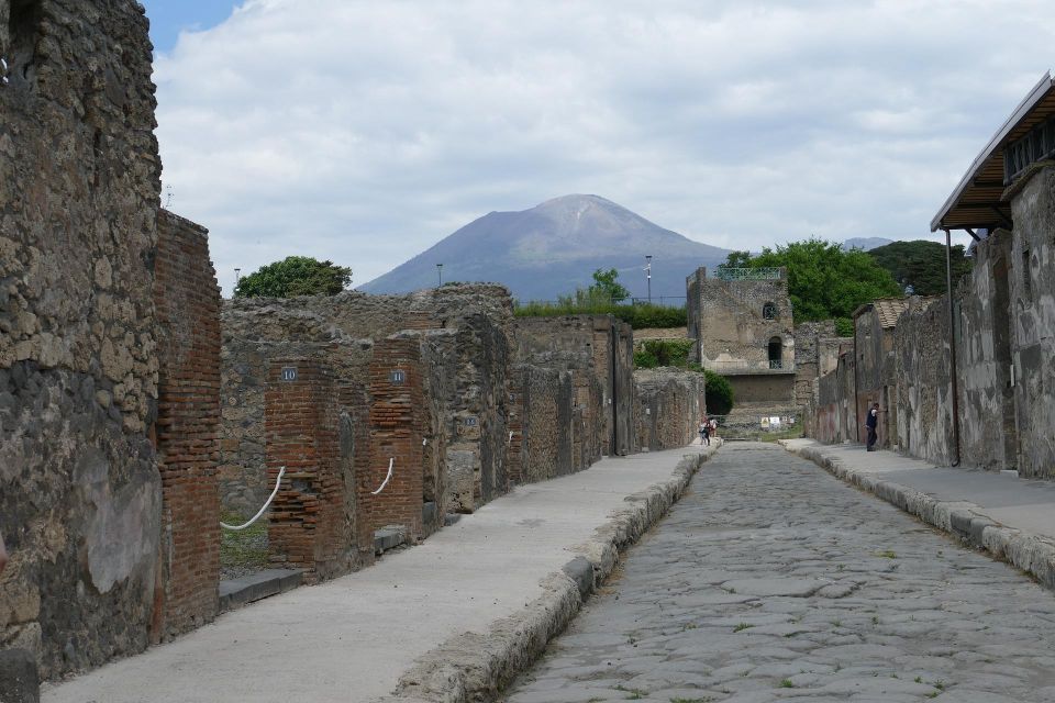 From Paestum:Pompeii Guided Tour With Wine Tasting and Lunch - Tour Inclusions and Cancellation Policy