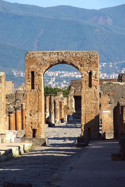 From Paestum:Pompeii Guided Tour With Wine Tasting and Lunch - Tour Highlights and Activities
