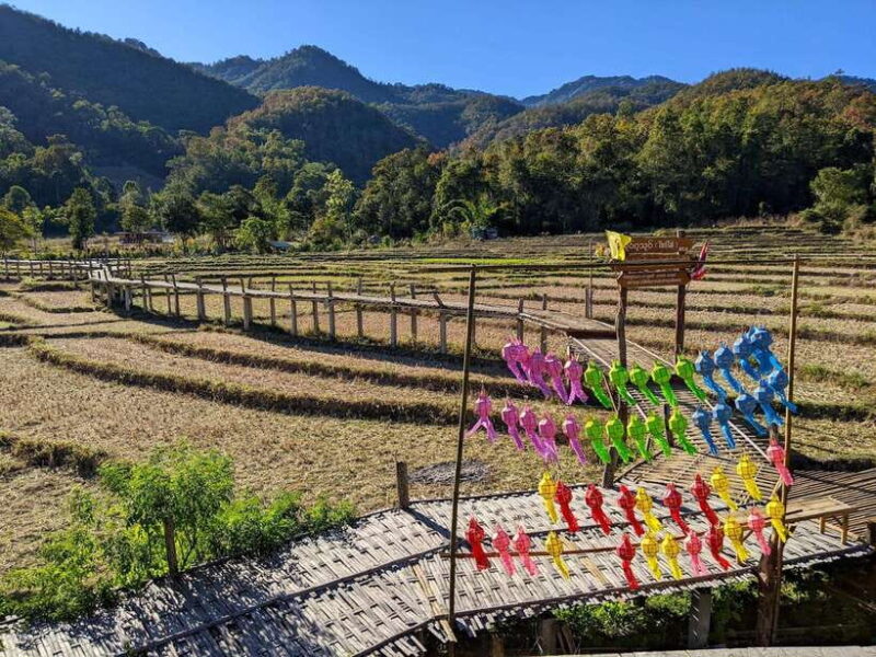 From Pai: Full-Day Private Sightseeing Tour - Long Neck Karen Village