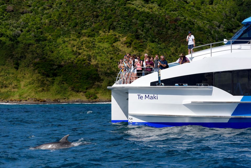 From Paihia: Cream Trip Full-Day Cruise to Bay of Islands - Important Information and Reviews