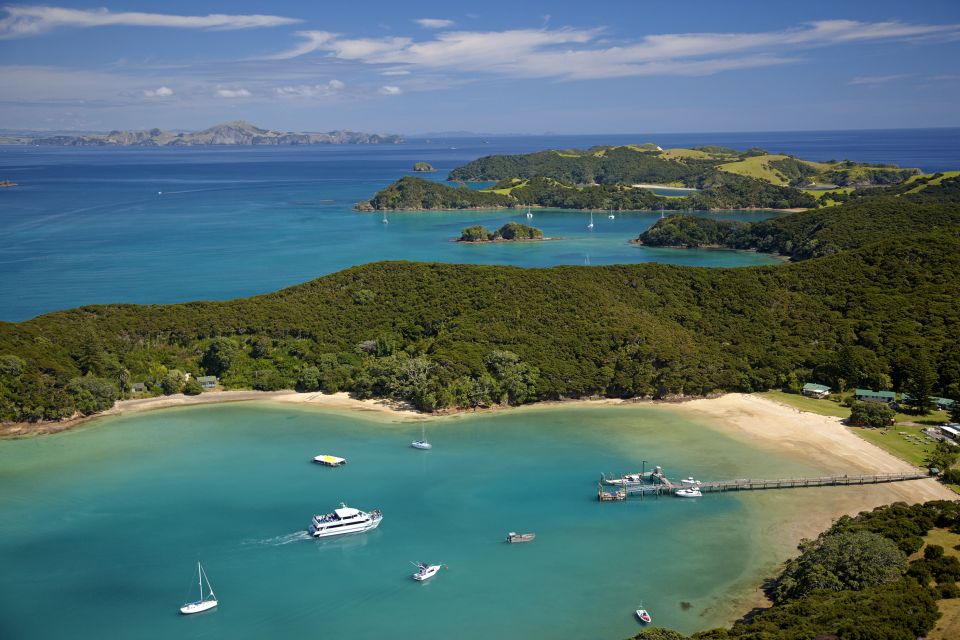 From Paihia: Cream Trip Full-Day Cruise to Bay of Islands - What to Bring