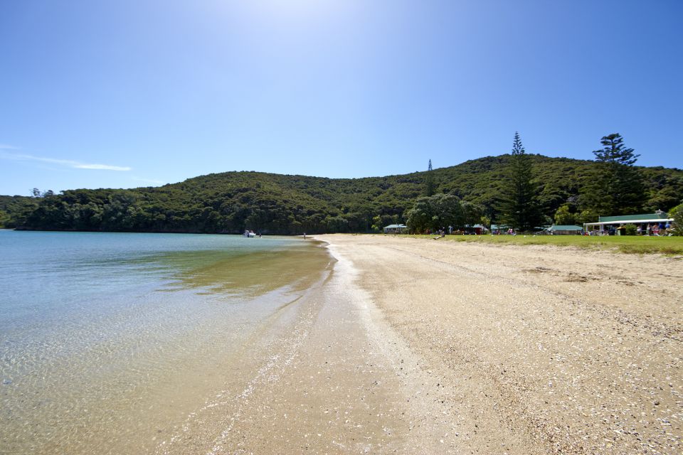 From Paihia: Cream Trip Full-Day Cruise to Bay of Islands - Frequently Asked Questions