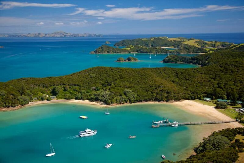 From Paihia: Full-Day Bay of Islands Cruise - Key Points