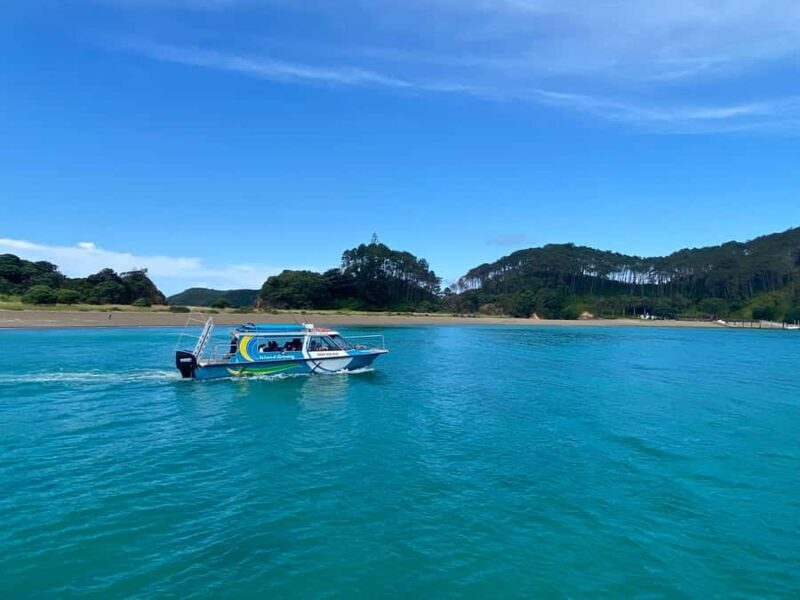 From Paihia: Hole in the Rock Cruise & Island Tour: 3 Hour - The "Hole in the Rock"