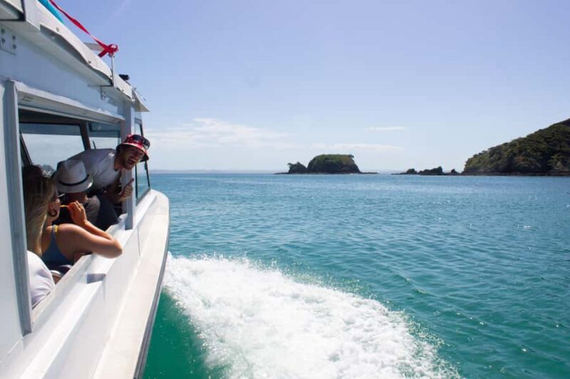 From Paihia: Hole in the Rock Cruise & Island Tour: 3 Hour - Island Stopover on Roberton Island