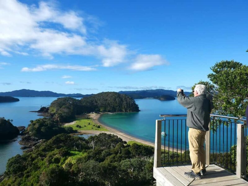 From Paihia: Hole in the Rock Cruise & Island Tour: 3 Hour - Practicalities and Value