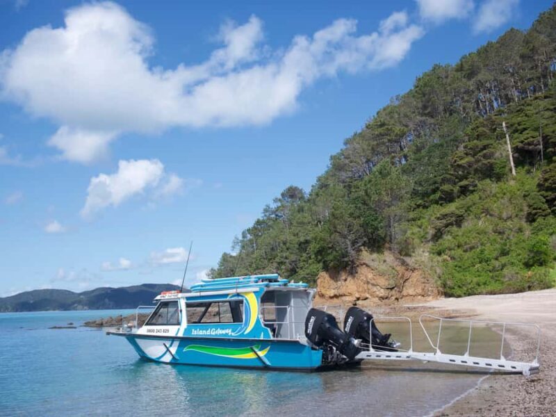 From Paihia: Hole in the Rock Cruise & Island Tour: 3 Hour - Timing and Booking