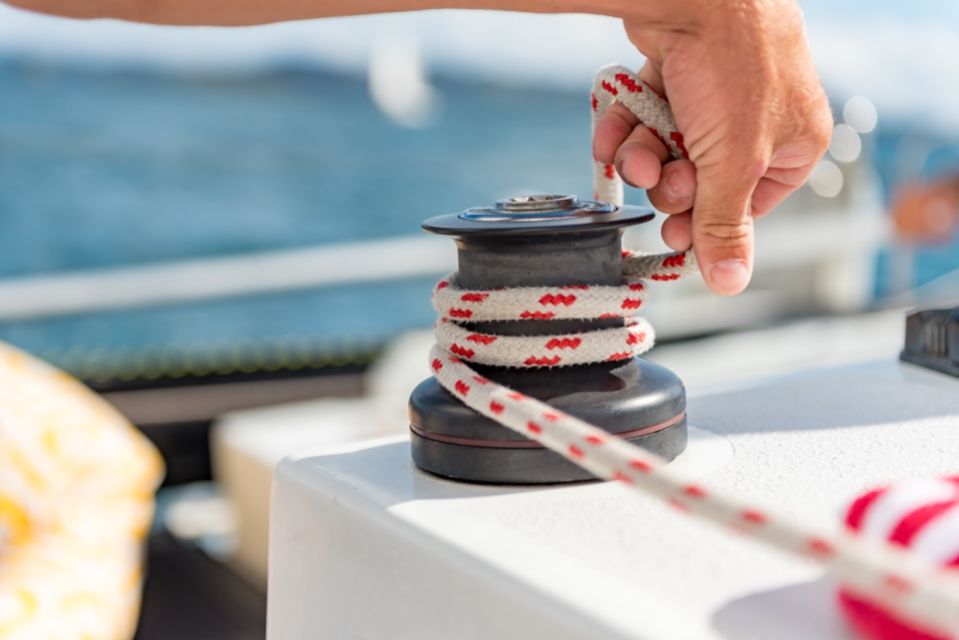 From Paihia: Island-Hopping Sailing Cruise With Picnic Lunch - Wildlife Interaction Opportunity
