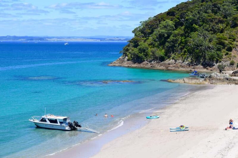From Paihia: Scenic Cruise with Roberton Island Stopover - An In-Depth Look at the Tour Experience