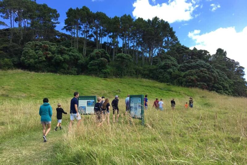 From Paihia: Scenic Cruise with Roberton Island Stopover - The Sum Up
