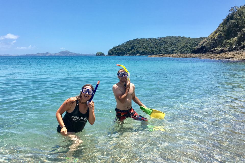 From Paihia: Scenic Cruise With Roberton Island Stopover - Key Points